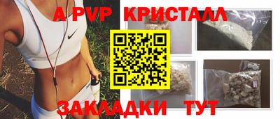 спиды Гусев