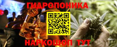 спиды Гусев
