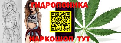 спиды Гусев