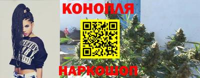 спиды Гусев