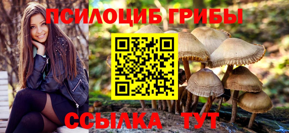 Галлюциногенные грибы Psilocybe Миасс