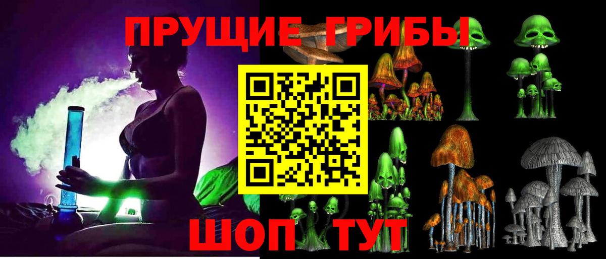 Миасс  Псилоцибиновые грибы Psilocybe  Псилоцибиновые грибы GOLDEN TEACHER  Вход с VPN 
